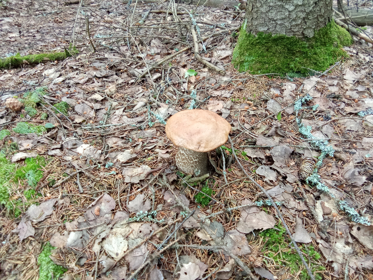 Фото Андрея Куликова. 22.06.25