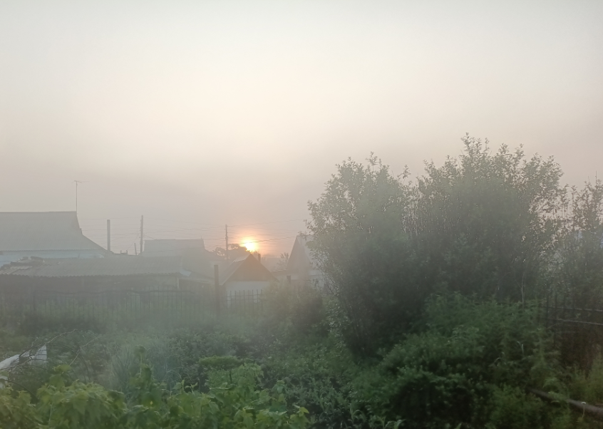 Ёжик был в одной из прошлых публикаций, а теперь туман