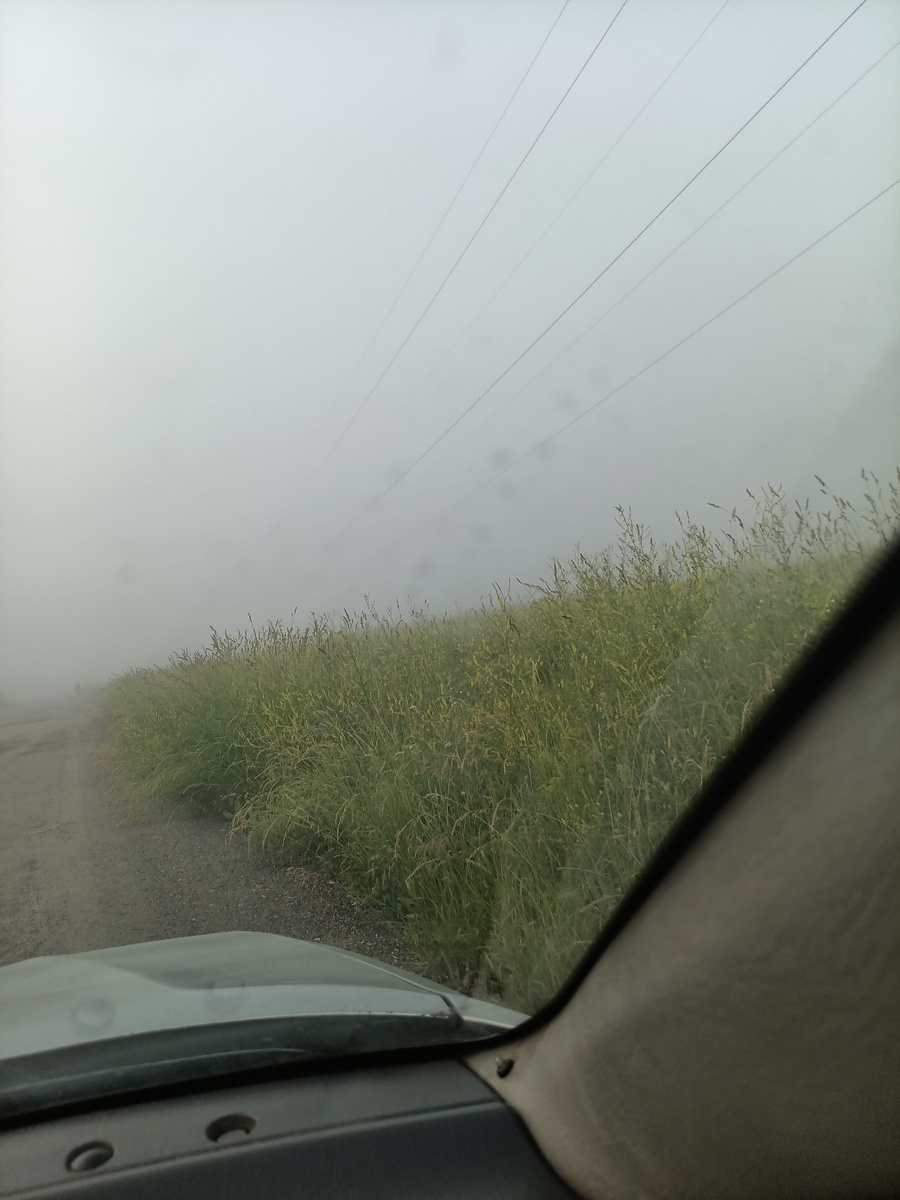 Поехала искать лошадку