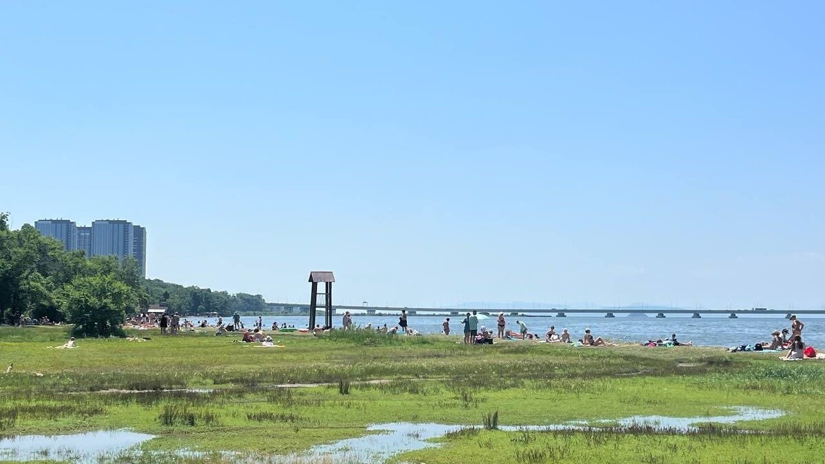     Источник: vostokmedia.com