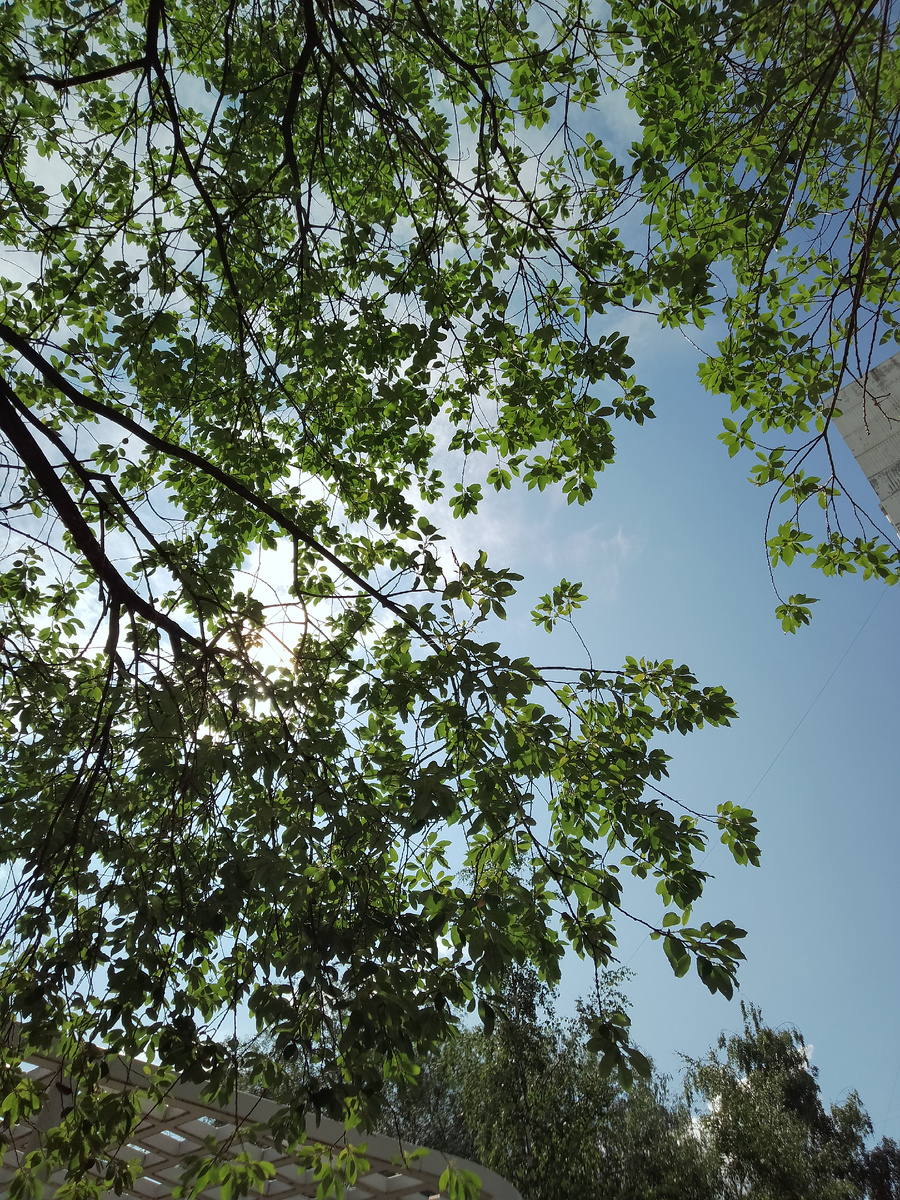 Фото автора. Сидишь на скамейке и любуешься небом