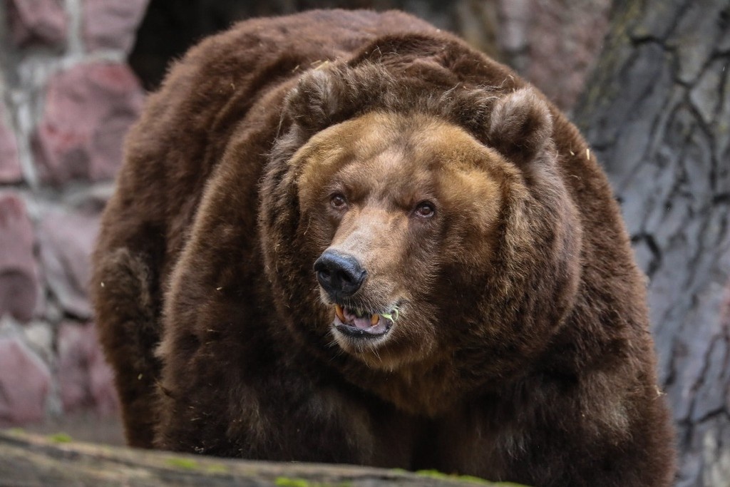    Фото © АГН «Москва» / Софья Сандурская