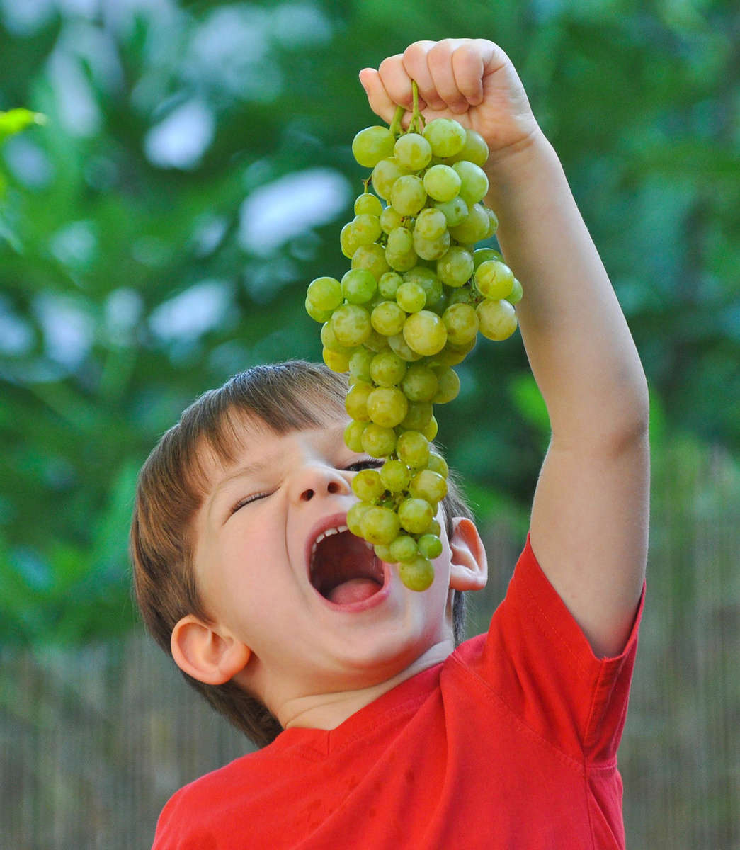 А вот виноградные косточки очень полезны