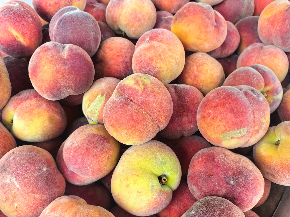 Фото автора канала