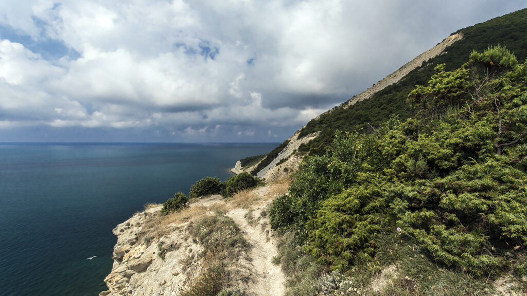 Колдун летом