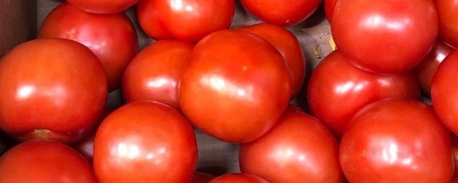 Томаты