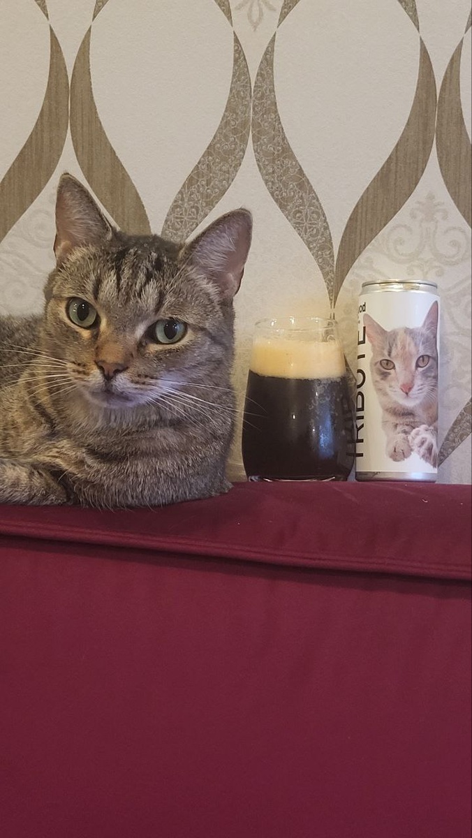 Фото из личного архива автора. С личным котом Автора