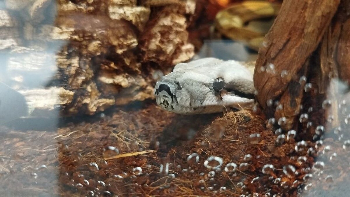    Фото: телеканал «Краснодар»