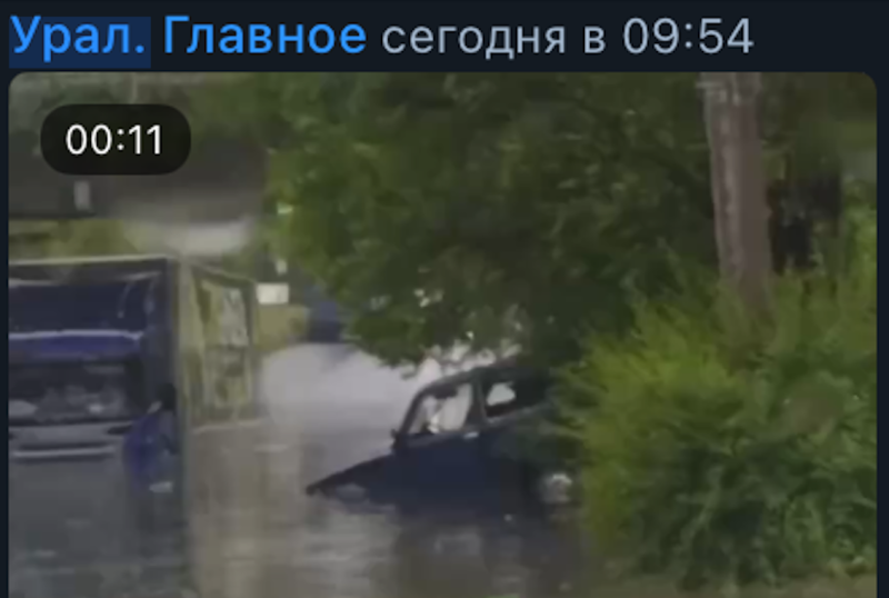    Фото: 31 канал.