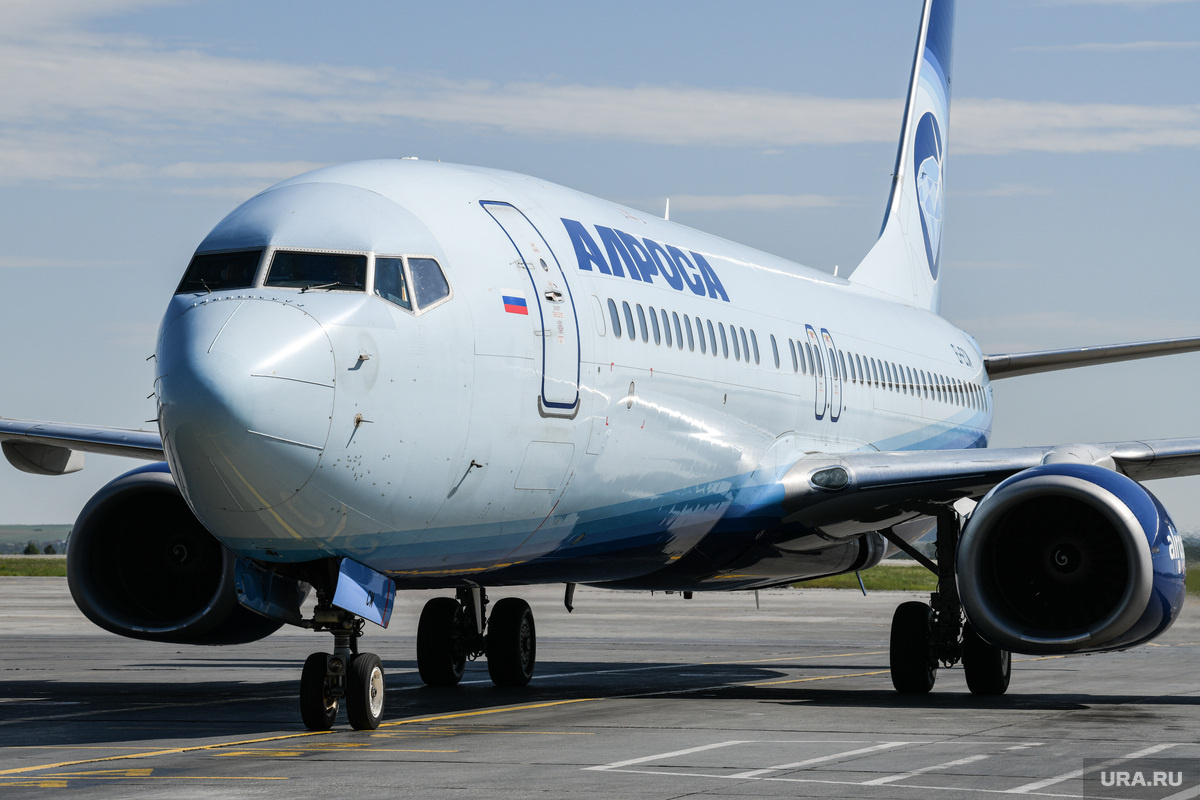 Мошенники собирались переправить сырье в Армению. Фото: Владимир Жабриков © URA.RU