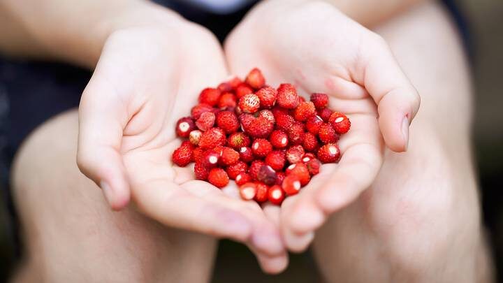  Фото: Shutterstock