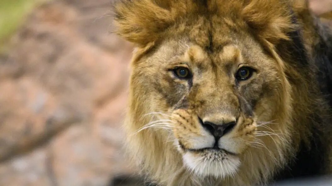    Фото: Ilya Moskovets/URA.RU/Globallookpress