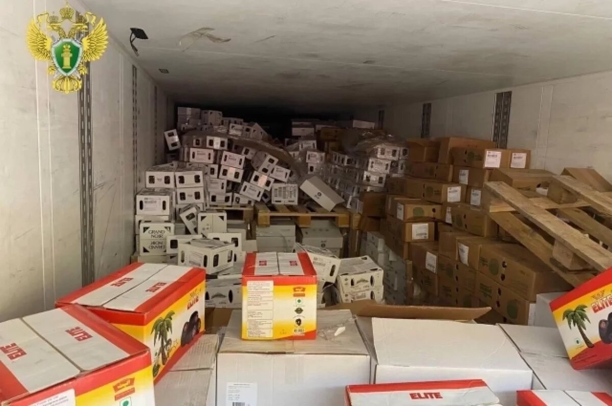    17 тонн санкционного сыра уничтожено в Оренбургской области