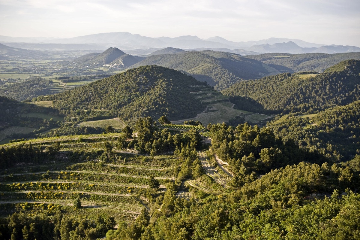     Ventoux AOC: терруар, заслуживающий внимания