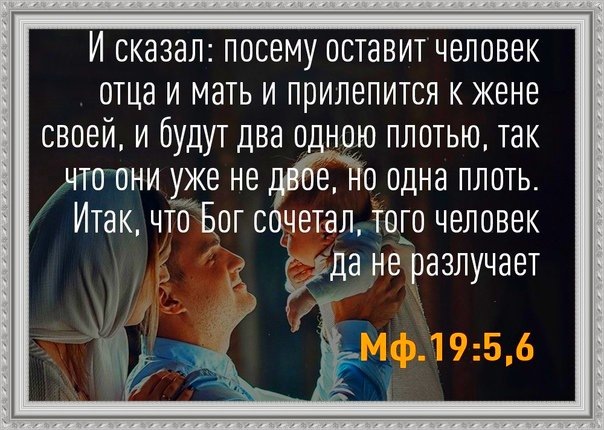 коллаж автора