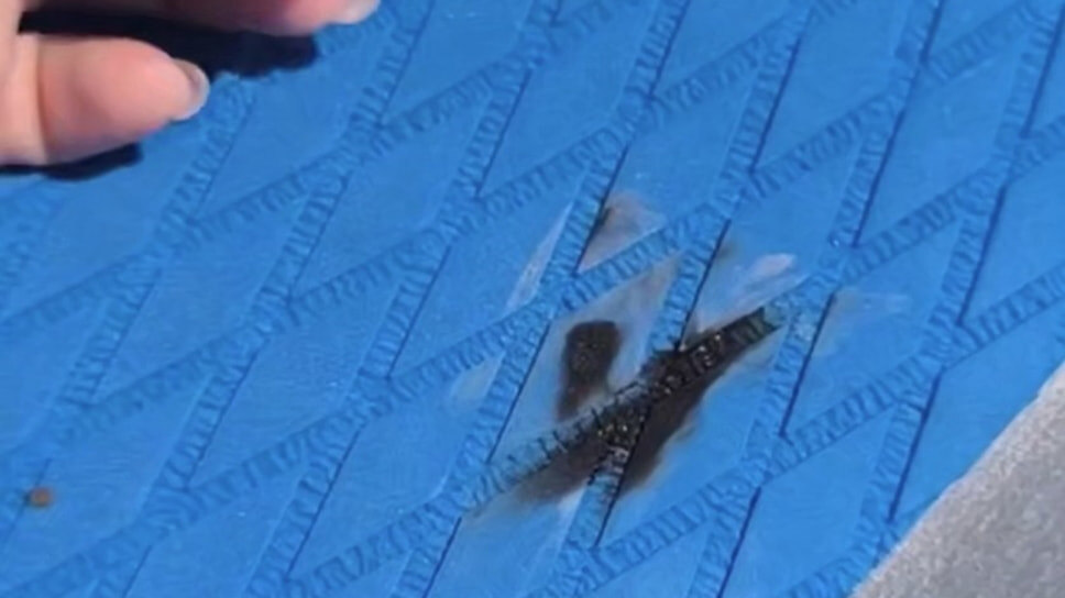 Фото: Telegram-канал ЧП Сочи