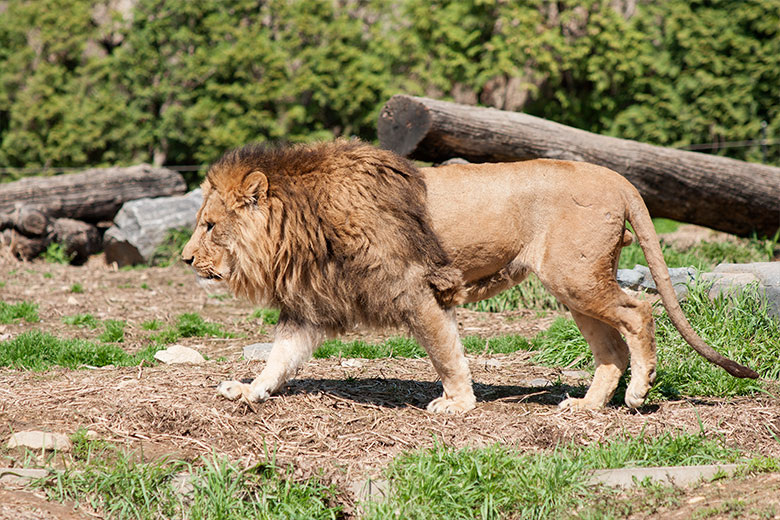    Aleksey Smyshlyaev/Global Look Press