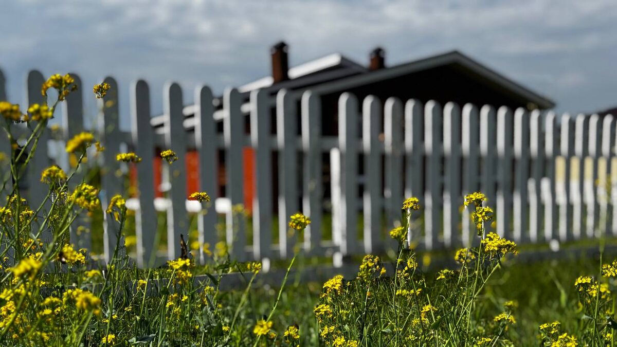 Новая улица в коттеджном поселке Аист (Красноярка, Омск)
