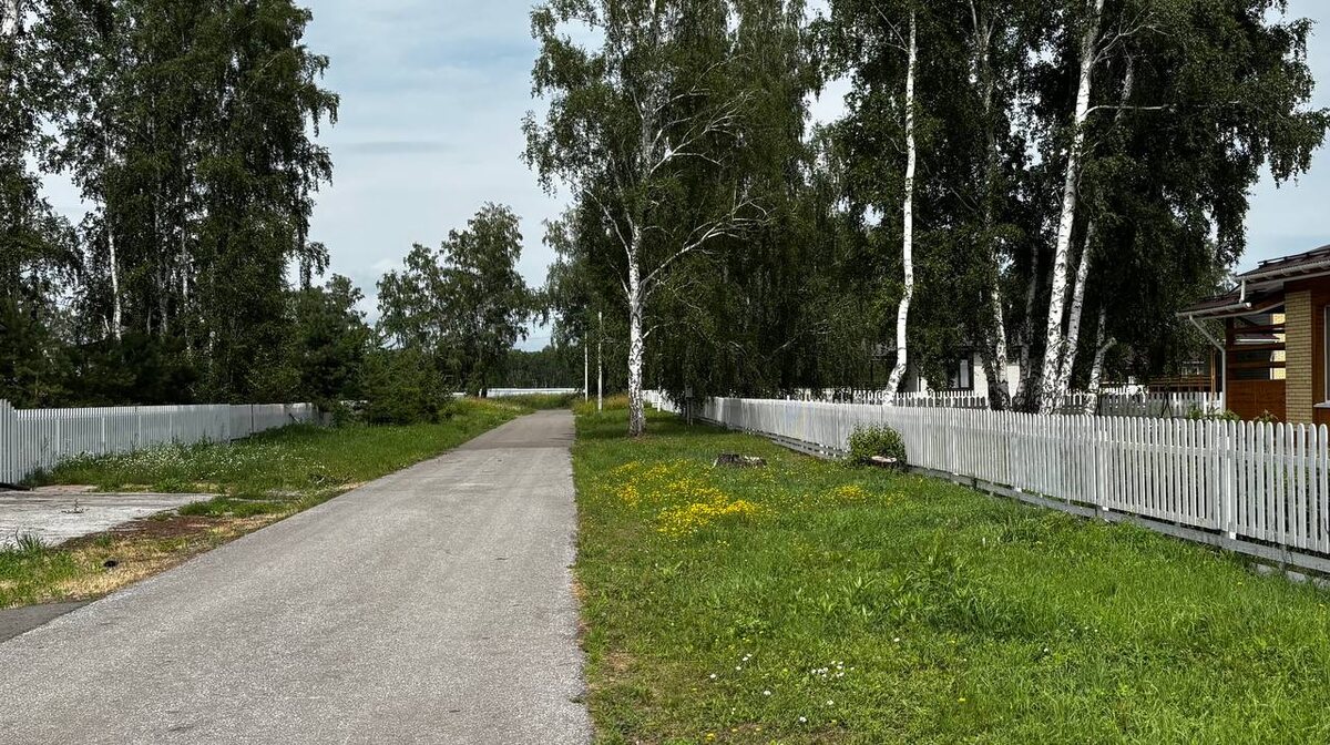 Улица 3-я Рябиновая, Коттедный поселок Аист (Красноярка, Омск)