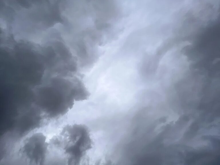    Фото: pixabay.com/Mylene2401 Ольга Чистова