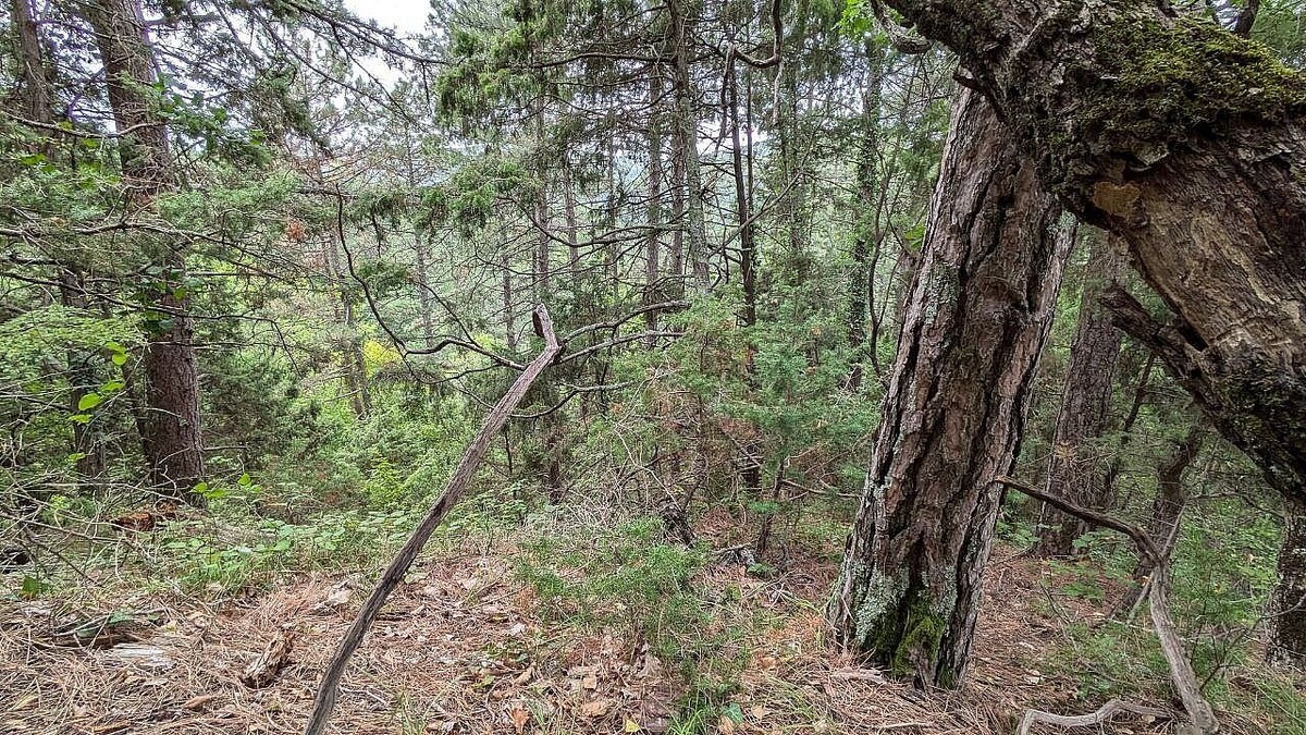    Фото: телеканал «Краснодар»