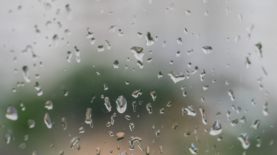 Фото: Олег Харсеев / Коммерсантъ