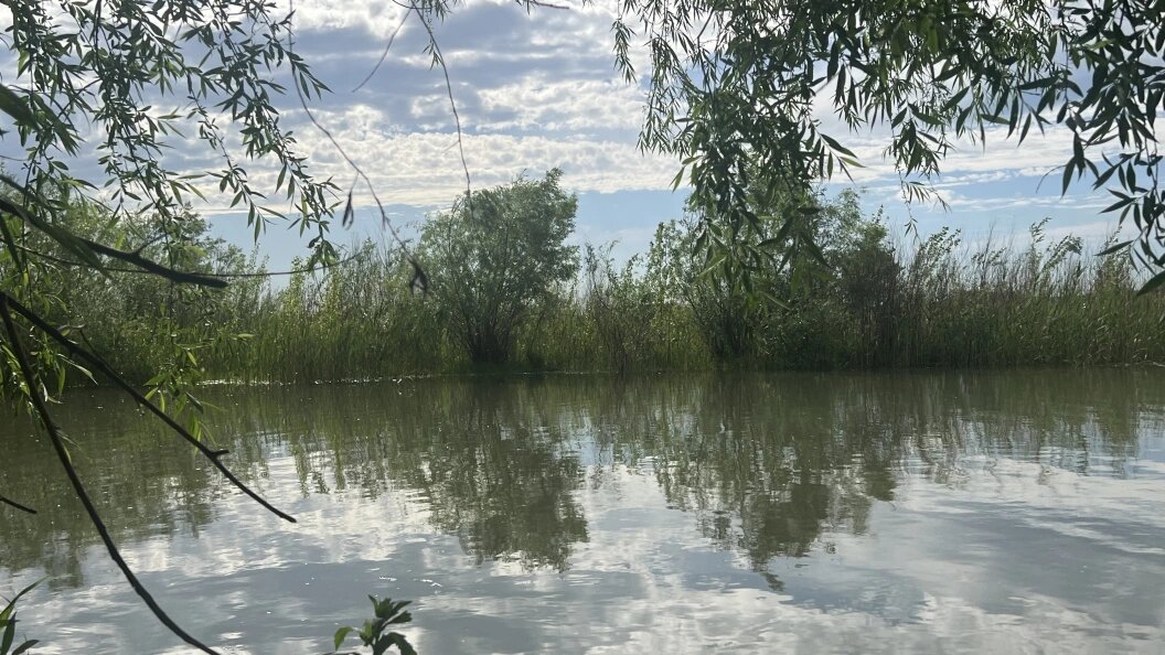    Фото: Царьград