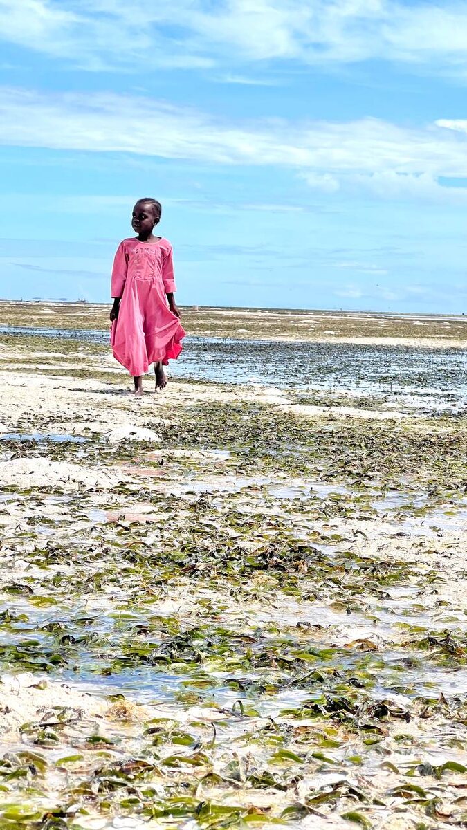 «Планета Лета»