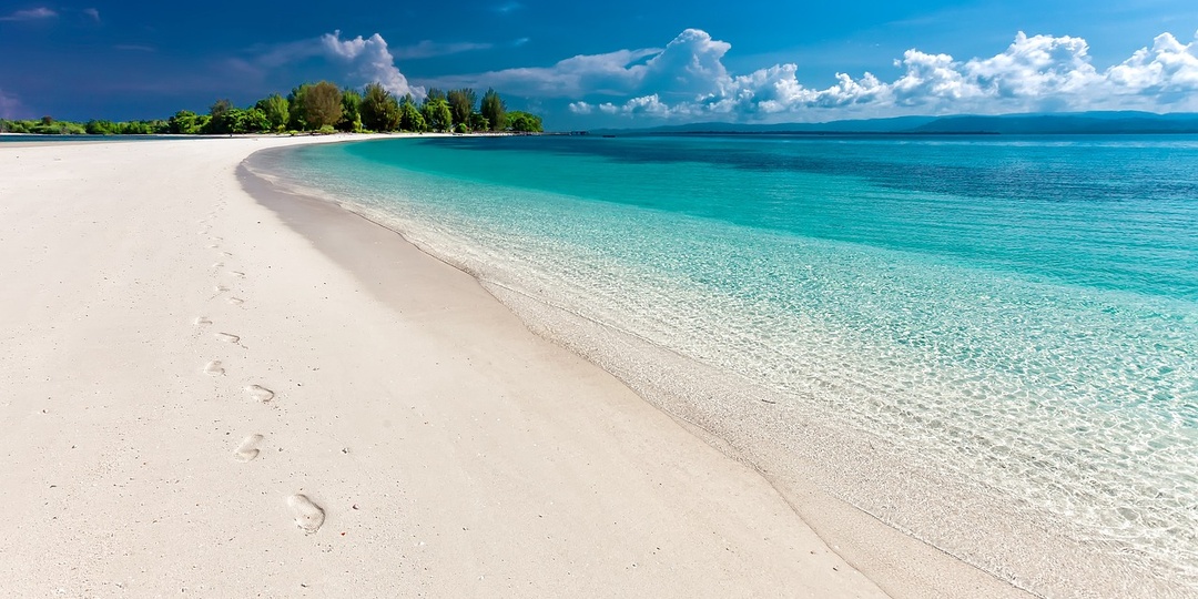 Надо же, сколько пластика накопилось в океанах! А сколько его по берегам наших рек?