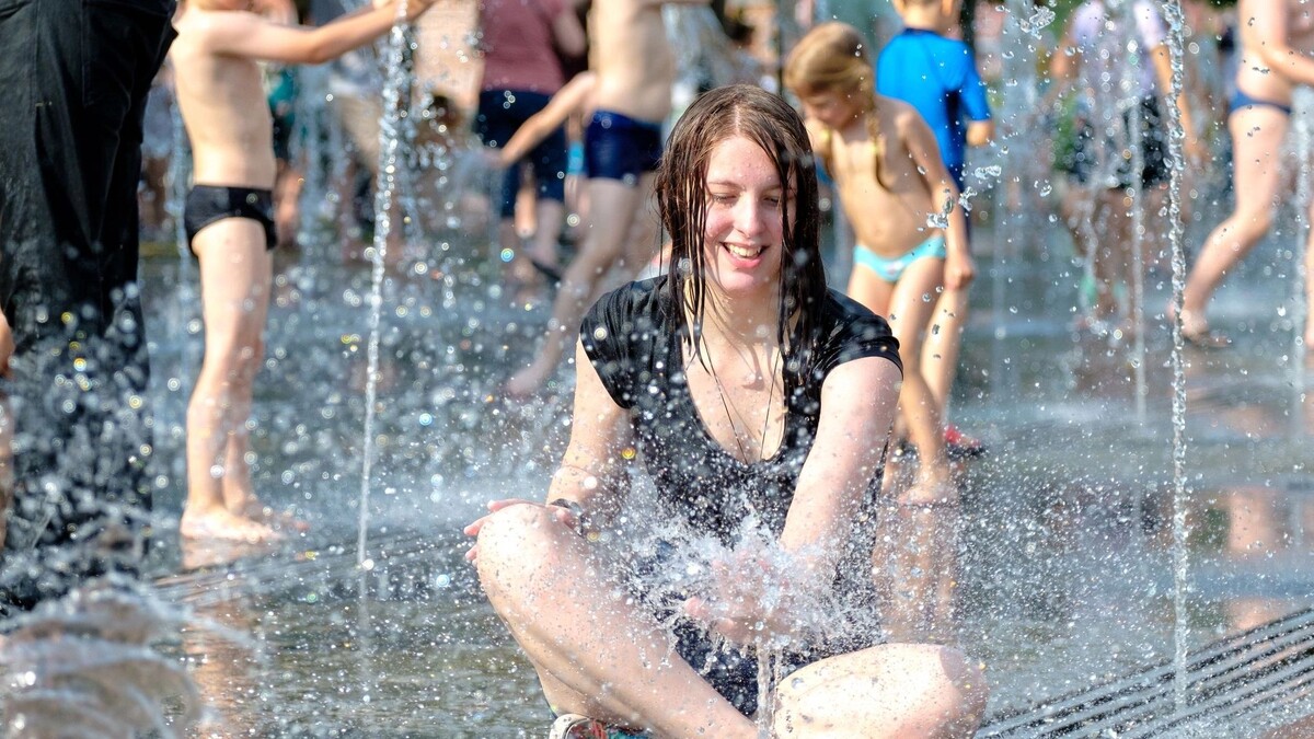    Фото: Nekrasov Eugene / Shutterstock / Fotodom