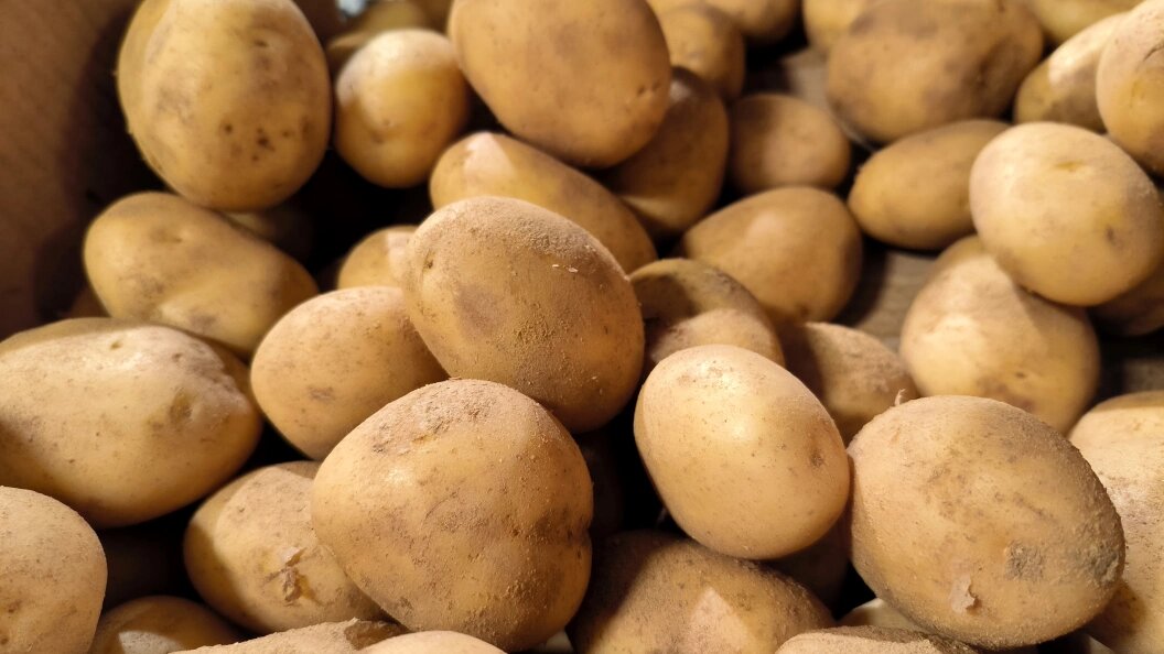    Фото: Maksim Konstantinov/Globallookpress