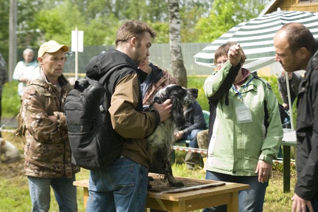 Эксперт судит, стажеры учатся.