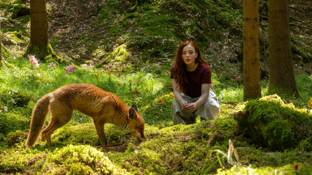 Магия четырех стихий фильм 2025