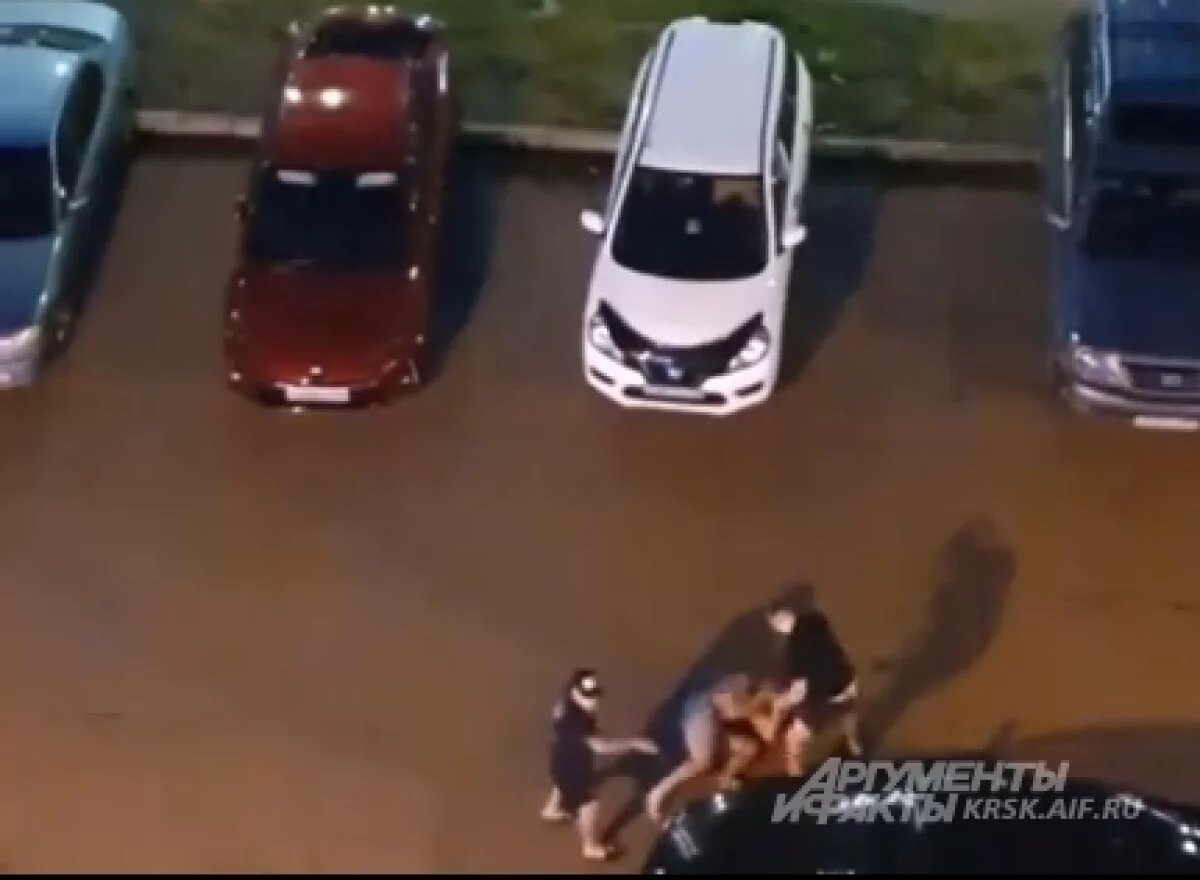    Пьяная компания устроила драку ночью в «Белых росах»