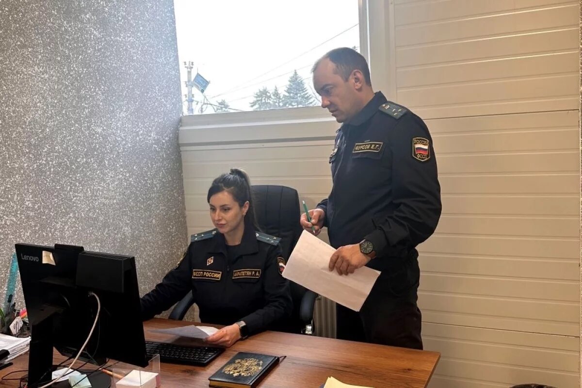    Приставы заставили должников вернуть деньги за краденый лес на Ставрополье