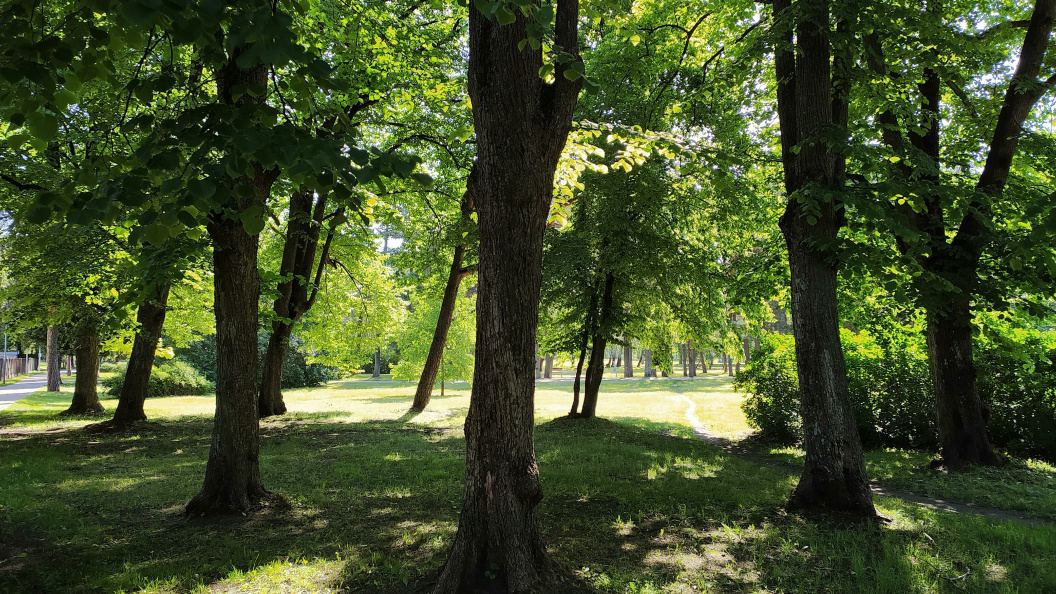    Фото: © Victor Lisitsyn, Виктор Л/Globallookpress