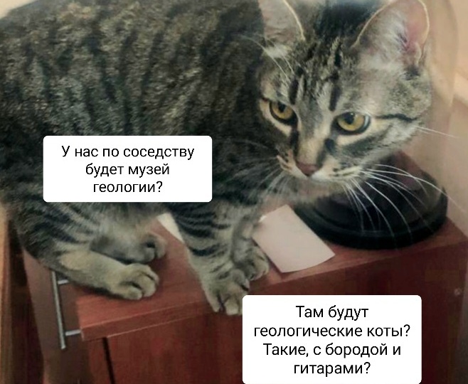 Немного новостей и котофото