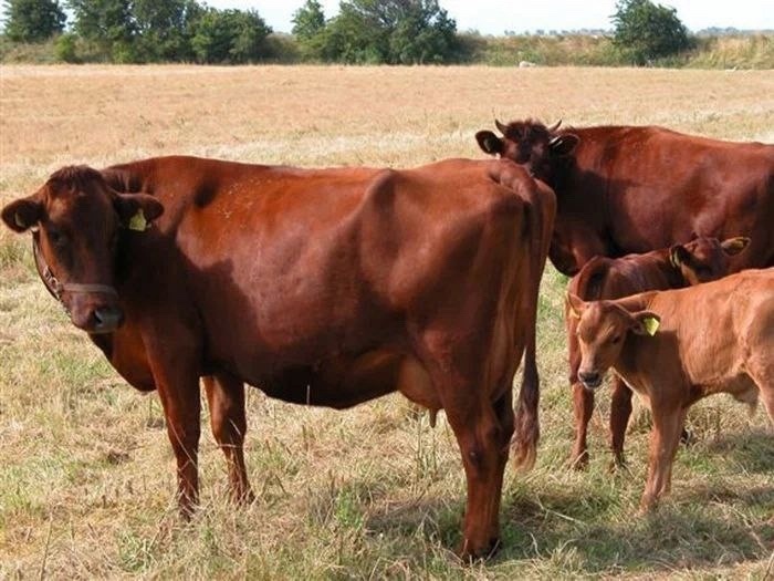    Фото: Минсельхоз Карелии