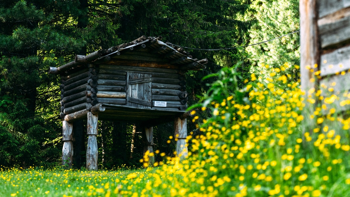    Этноисторическое стойбище планируют создать в родных местах Ювана Шесталова в Югре
