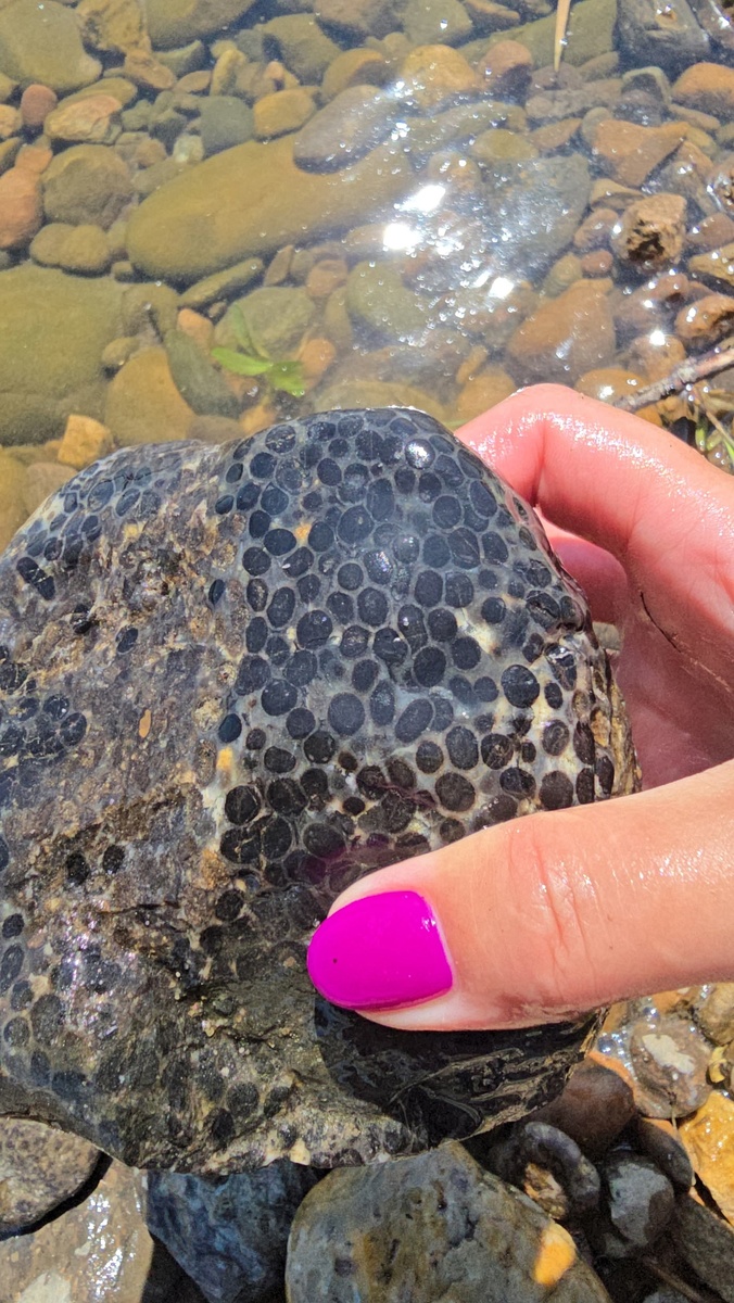 Находка Ольги Леснеевой группа Камнеискатель Вк