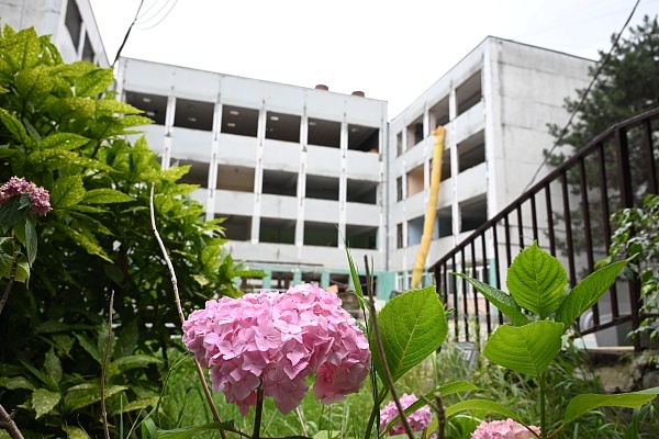    администрация Сочи