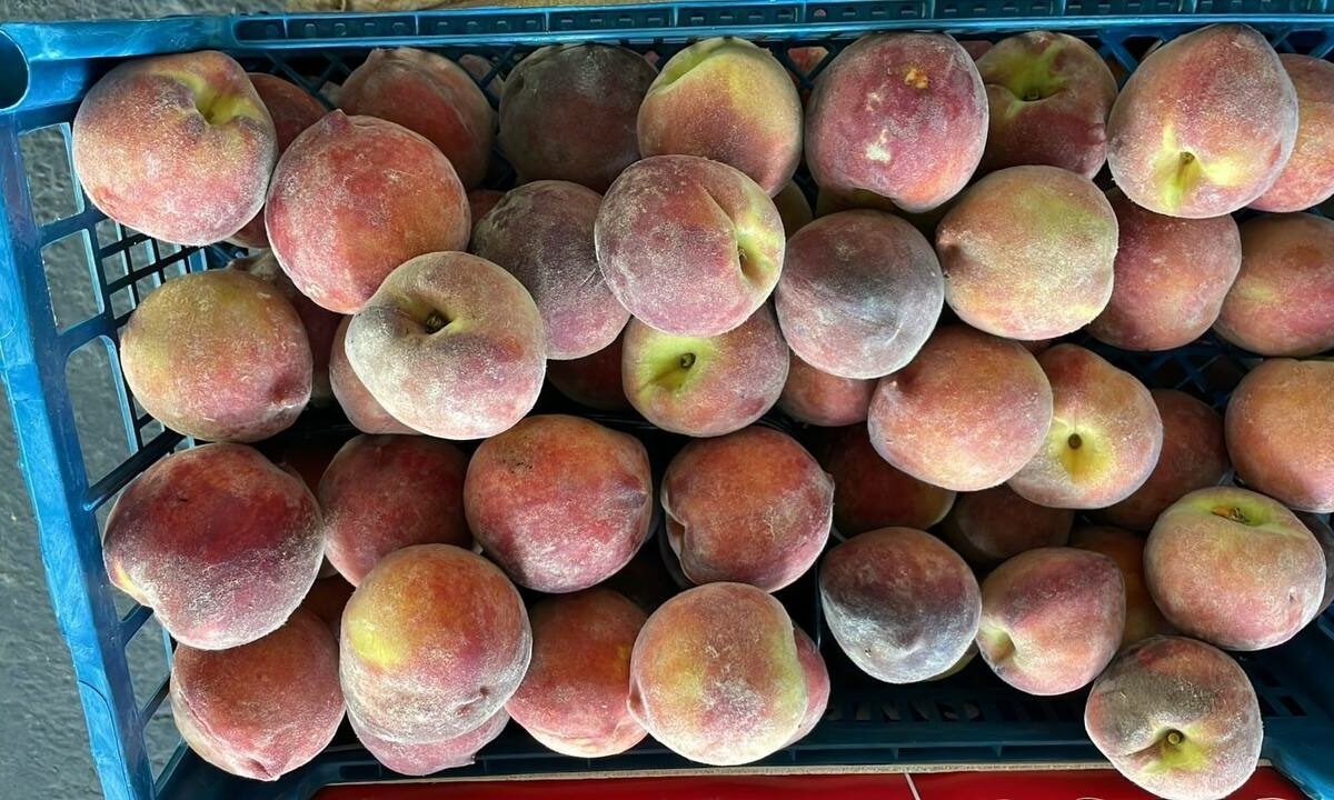    Фото t.me/rsn_yug