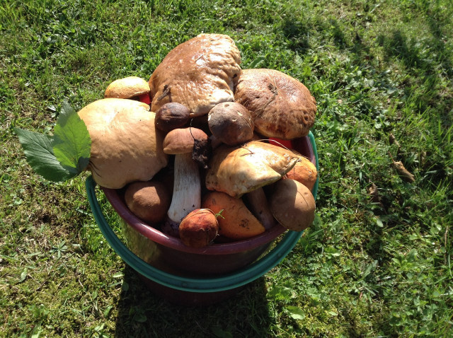    Фото: Елена Костюченкова