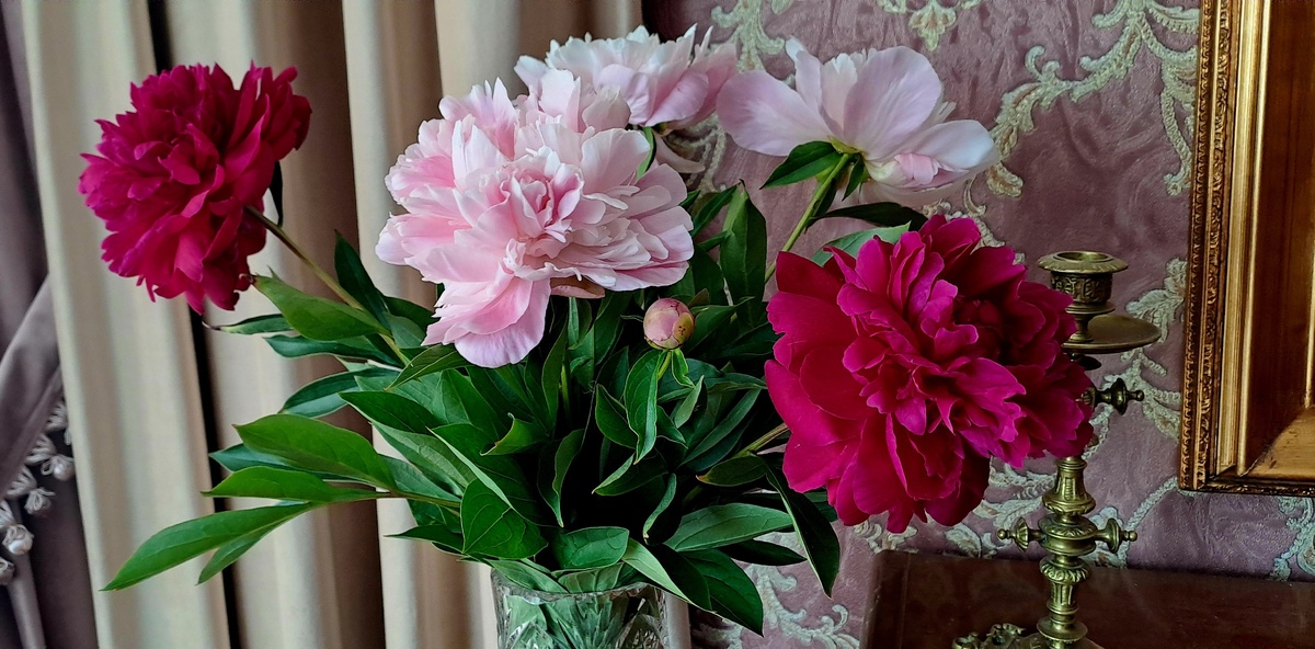 Букет пионов