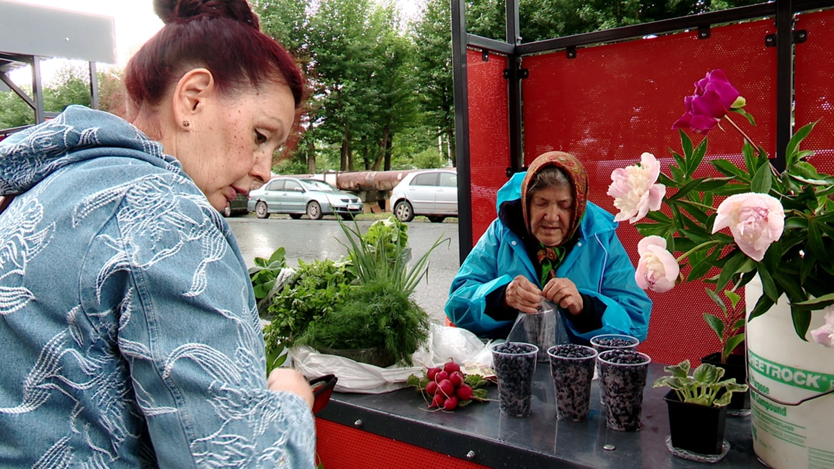 Зелень, помидоры, картофель - тюменские садоводы торгуют урожаем всё лето