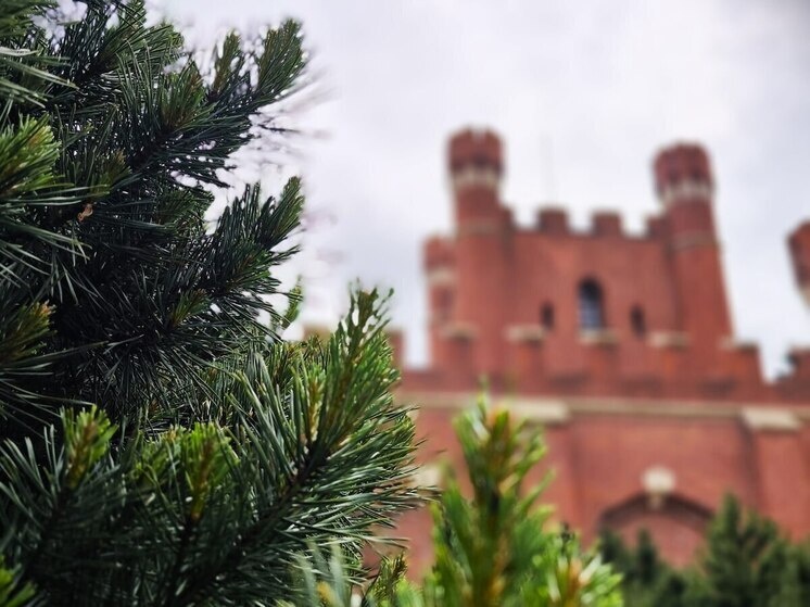     Фото: телеграм-канал Музея мирового океана