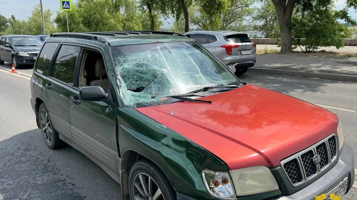     Источник: ГУ МВД по Волгоградской области