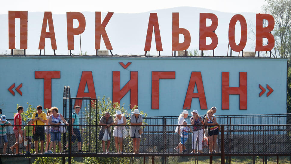 16 октября 2024 года львы растерзали сотрудницу сафари-парка «Тайган» 41-летнюю Леокадию Перевалову. Она проработала в парке около 18 лет, начинала с простого рабочего по уходу за животными, а позже стала директором ООО «Ялтинский зоопарк "Сказка"» и управляющей парком львов «Тайган». Олег Зубков назвал погибшую самым опытным специалистом парка. После происшествия следователи возбудили уголовное дело по ч. 2 ст. 143 УК РФ (нарушение требований охраны труда, повлекшее смерть по неосторожности). В феврале 2025 года дело прекратили. Глава Следственного комитета России Александр Бастрыкин затребовал доклад о ходе проведения расследования и причинах прекращения дела.📷Фото: Виктор Коротаев / Коммерсантъ