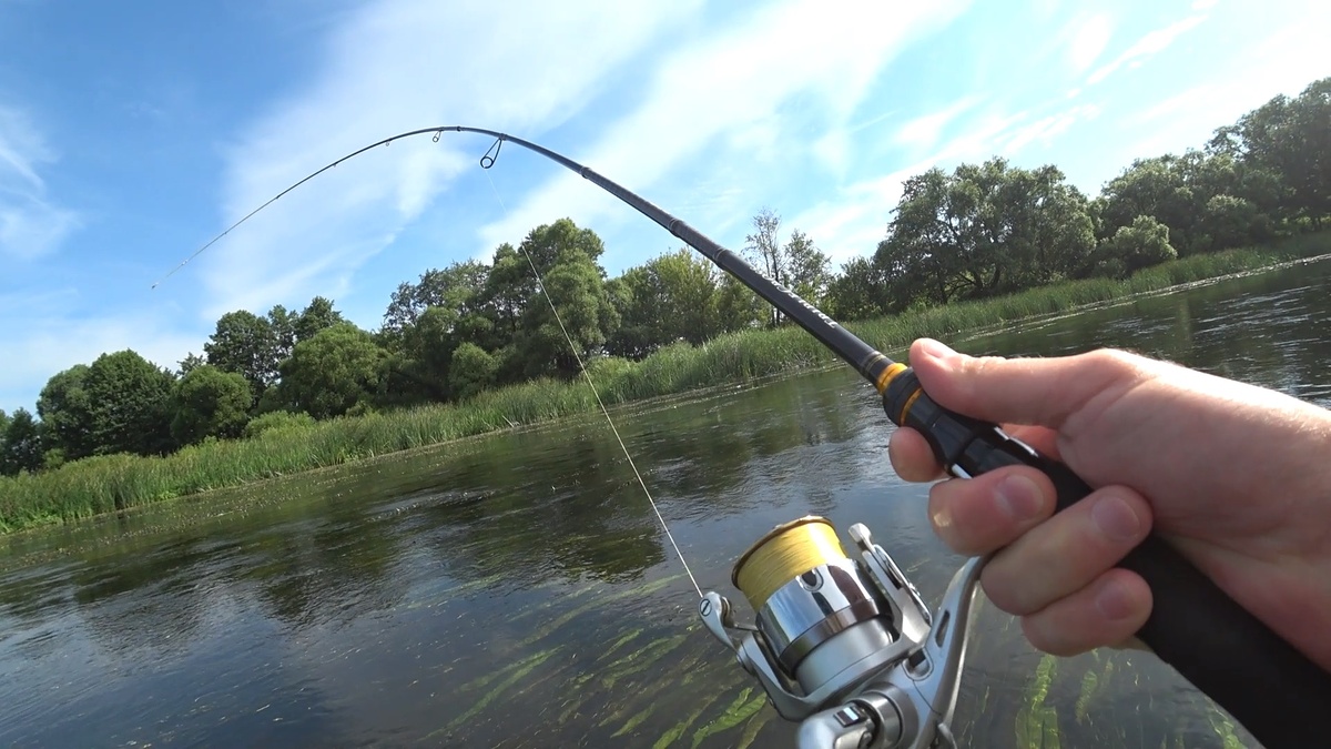 Заставка к видео "Мощная рыба клюнула на заросшем перекате !"