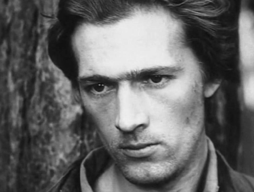 Из открытых источников